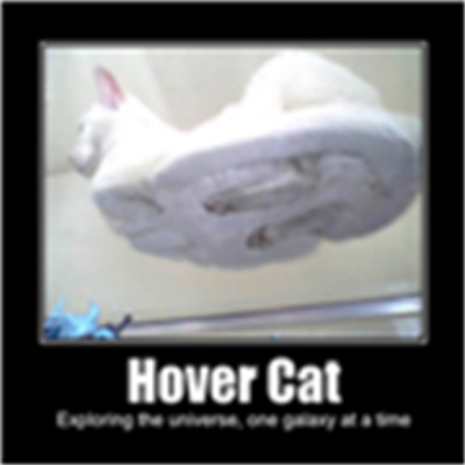 Hover Cat Roblox decal