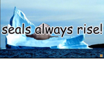 WATER SEALS