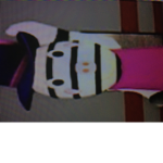 Zizzy gaming fanclub