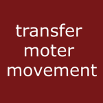 Transfer MM