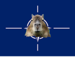 Capybara NATO