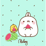 totoro :3