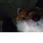 polar s t e t i c fan group seal and polar for liv