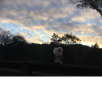 Turtle valley-friends with SUNSET VALLY