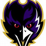 Raven ###### (team Falcon partnership)