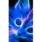 Neon Kittens!!!
