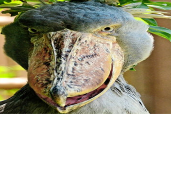 test and chill place