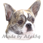 Doggo's fan group
