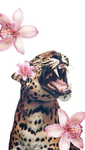 GlamourDollz Empire