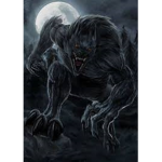 werewolf Zquad