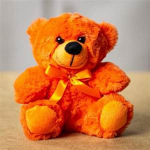 the teddy :D