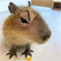 ESCAPE THE CAPYBARA!