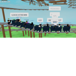 Cool Scrim Group