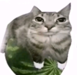 Just_AlexChillz