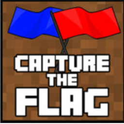 CACH THE FLAG!!!