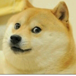 The Doge People123