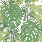 Aesthetic palm tree