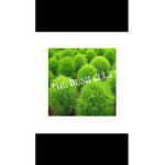 Da Bush Cult