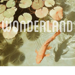 Wonderland!!!