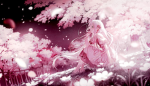 Lavender land go