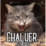 chaleur.