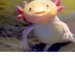 Axolotl Game Development