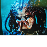 Powerful predators