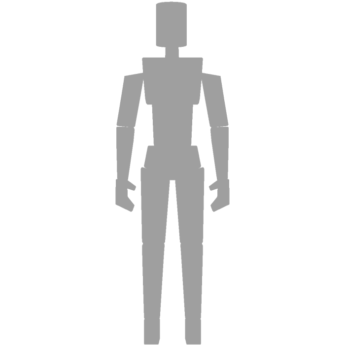 1x1x1x1 Glitched R6 Standing