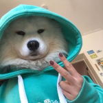 HotdogFootLong