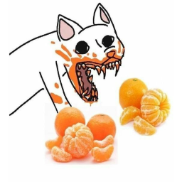 Buy here if you love cats
