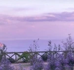 Lavender DTI Farming! Group Thumbnail