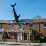 The Legendary Shark Kingdom
