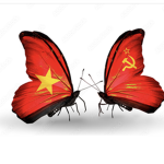 The Vietnamese army!