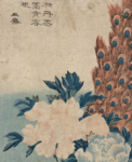 Edo Tenshi
