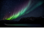 The Aurorians