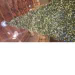fortnite kidnappers