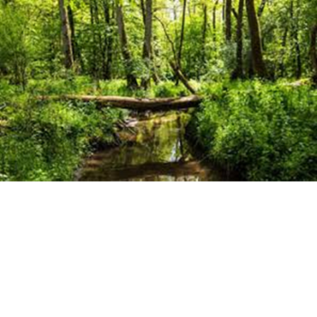 sobrevive a  la naturaleza¡