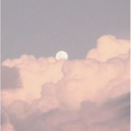 Obby Team Sasa ☁