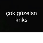 SHİNE BUTTERFLY