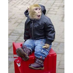 Monkey Clothing (Making)
