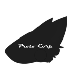 Proto Corp