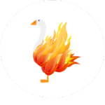 FireGoose Studios