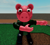[Postęp ] ********* RP świnki 