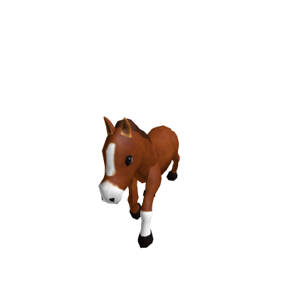 Horse Model