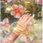 Waterflowersquad
