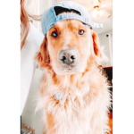 Hiii :}