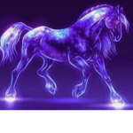 Star strike riding Academy