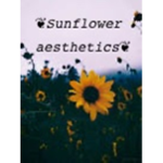 シ sunflower aesthetics シ