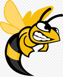 Honey Bee Racing