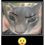 {poggers}